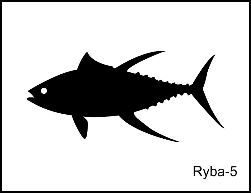 ryba 5